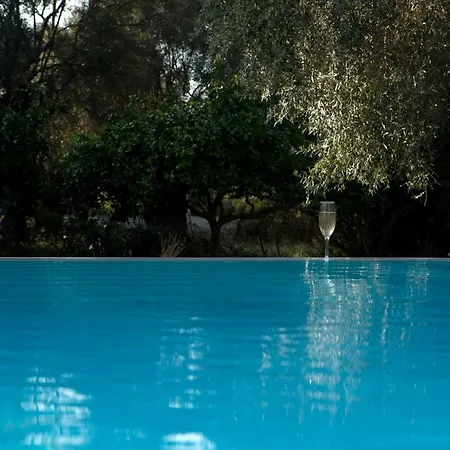 Villa Agrikies Lefkáda