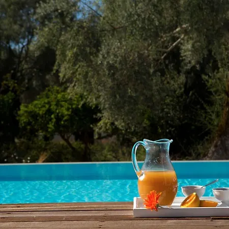 Villa Agrikies Lefkáda